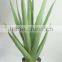 Decorative artificial aloe plants in big size wholesale from Guangdong