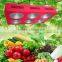 grow lighting for indoor plant hydroponic cob led grow lights 2016