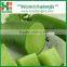 Fresh green radish for exporting