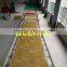 1220mm PVC Artificial Marble , Imitation Marble , Faux Marble Sheet Extrusion Machine