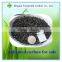 High Quality Coconut Shell Activated Carbon Granular for Sale