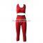 Women's Sport Suit Yoga Clothes Set Yoga Suit Fitness Suit