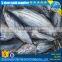 Seafrozen skipjack for sell, frozen skipjack tuna price, frozen skipjack tuna whole round