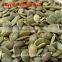 PUMPKIN SEEDS 9MM UP 10MM UP 11 MMUP