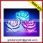  Express sale high quality custom unique outdoor christmas lights led decoration china wholesale