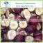IQF Frozen Plum Halves
