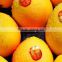 fresh chunsa mango