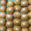 Supply Fresh kiwi with good quality for sale