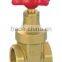  PN16 Brass Gate Valve