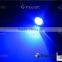 Low Price LED 6w car eagle eyes headlights,LED DRL Headlight Car 12v Led Eagle Eye light