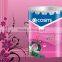 High quality emulsion wall paint for exterior