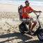 2016 fashion Harley Electric citycoco With Big Motorcycle Wheel