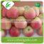 New crop delicious fresh royal gala apples