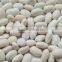 Large White Kidney Bean Wholesales Price