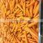 2016 New Crop Best Quality Fresh Carrot For Sale From China