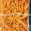 BEST SALE TOP QUALITY FRESH CARROT FROM CHINA