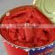 double concentrated canned tin gino 28-30% tomato paste factory supplier exporter