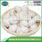 Garlic price per ton