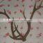 Christmas realistic wall hanging plastic deer antlers