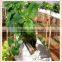 agriculture plants irrigation Drip Tape with Flat Dripper