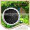 Natural Kelp Source Dried Seaweed