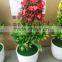 hot sale artifical bonsai for colorful flower with nylon cloth and plastic material