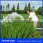 Solar Aeration Pump Irrigation Pump System 1.5KW for Fishery Fish Pond Aeration