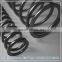 Professional manufacturer of stainless spring
