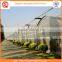 High Quality 10.8m Agriculture Plastic Film Greenhouse for Sale in China