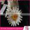 decorations for weddings party daisy flower