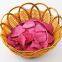 Fruit radish chips/Fruit radish chips OEM