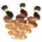 Body Wave 3 Tone Color Ombre Hair, 100% Natural Indian Human Hair Price List