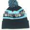 Customized logo sports fashion top quality cotton knitted hat