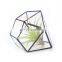 terrarium geometric glass terrarium wholesale