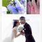 colorful nylon organza chair sash wedding hotel decoration organza chair sash chair cover