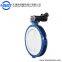 DN1200 48inch PTFE fully coated worm gear double flange/flanged butterfly valve