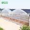 UV Treated Plastic Polycarbonate Sheet Film Greenhouse