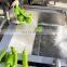fruit cleaning machine laveur fruits maquina lavadora de fruta