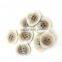 New Models Plastic Fashion Resin Recycled Polyester Button For Shirt Garments
