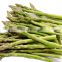 factory hot selling IQF frozen green asparagus with fresh quality