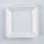 Disposable Biodegradable 6 INCH square plate Take away Sugarcane