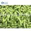 New Crop Organic IQF Soybeans Frozen Edamame in Pods Salted Soybeans