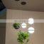Deco Chandelier Hanging Glass Ball Plant Modern Artistical Duplex Apartment Spiral Stair Pendant Lamp