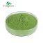 China Manufacturer Organic Barley Leaf Juice Powder Barley Grass Powder Brown Powderleaf Extract
