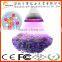 Wholesale par38 E27 led grow light bulb 12w led grow lamp for flower plant hydroponic systems