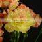 New manufacture carnation flower as gift