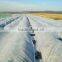 anti uv non-woven weed mat
