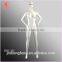 2014 hongfong female plus size simple makeup fashion mannequins