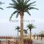 2015 Artificial 3-30m indoor or outdoor Canary Date Palm Tree,artificial tree,artificial plant