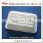 Blister PET PP packaging plastic fruit tray